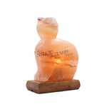 Cat Salt Lamp (Timber Base)