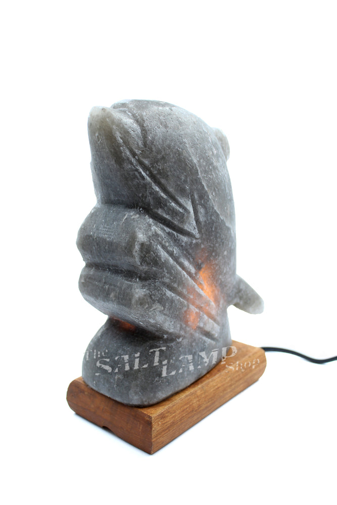 Rare Grey Himalayan Salt Dolphin Lamp (Timber Base)