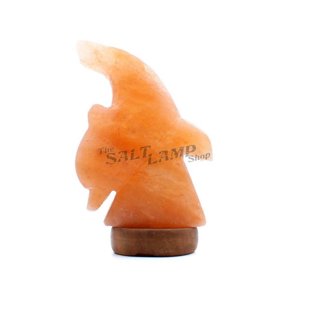 Diving Dolphin Salt Lamp (Timber Base)